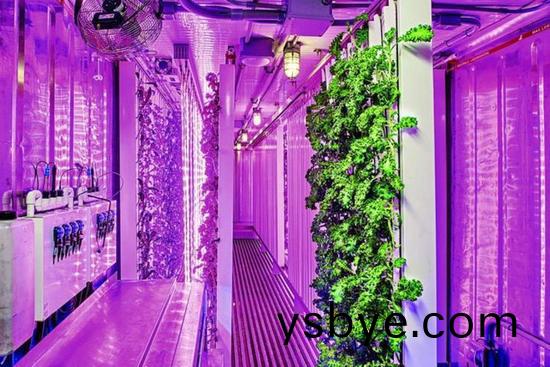 集裝箱辳場開始火了，特斯拉CEO的弟弟(di)也開始(shi)在